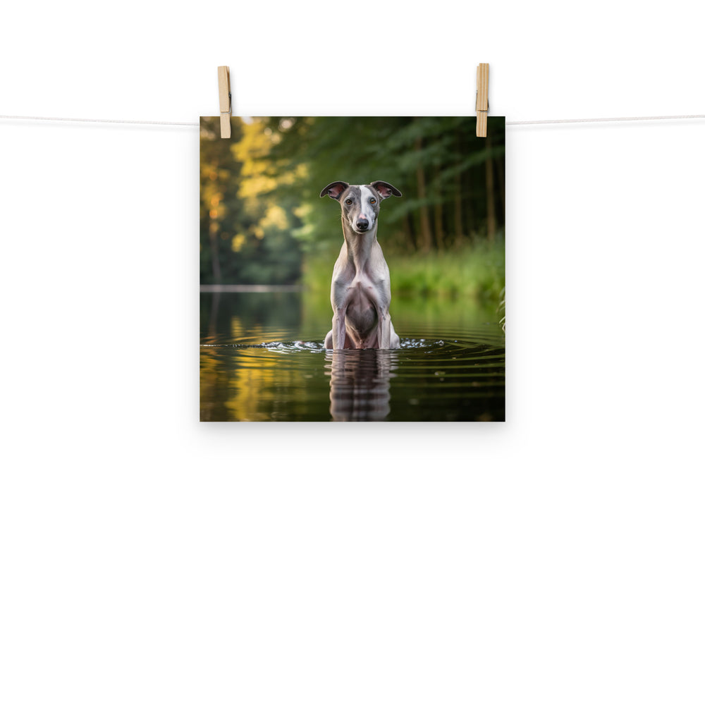 Whippet Photo paper poster - PosterfyAI.com