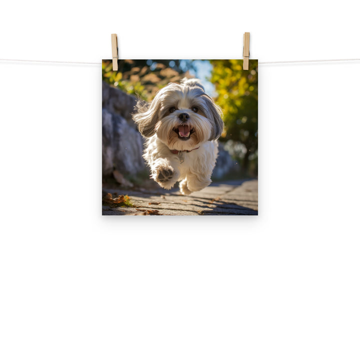 Lhasa Apso Photo paper poster - PosterfyAI.com