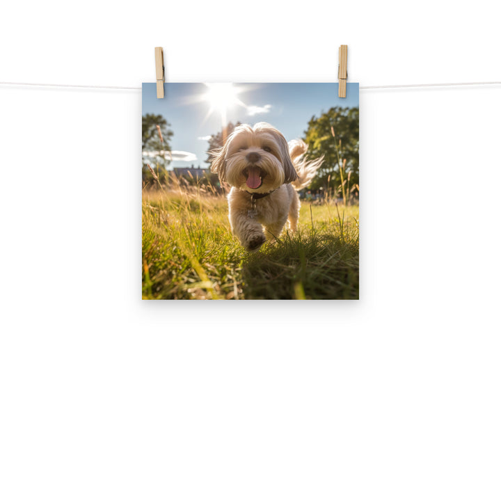 Lhasa Apso Photo paper poster - PosterfyAI.com