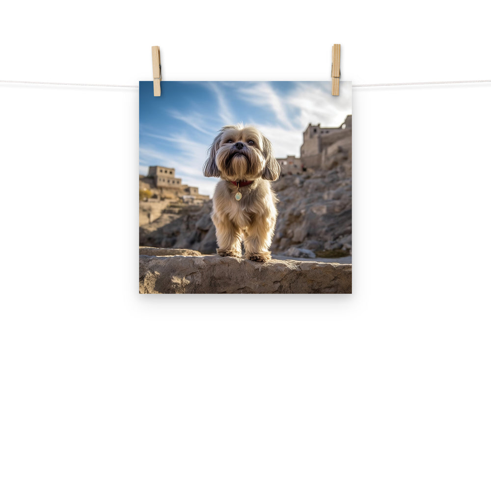 Lhasa Apso Photo paper poster - PosterfyAI.com