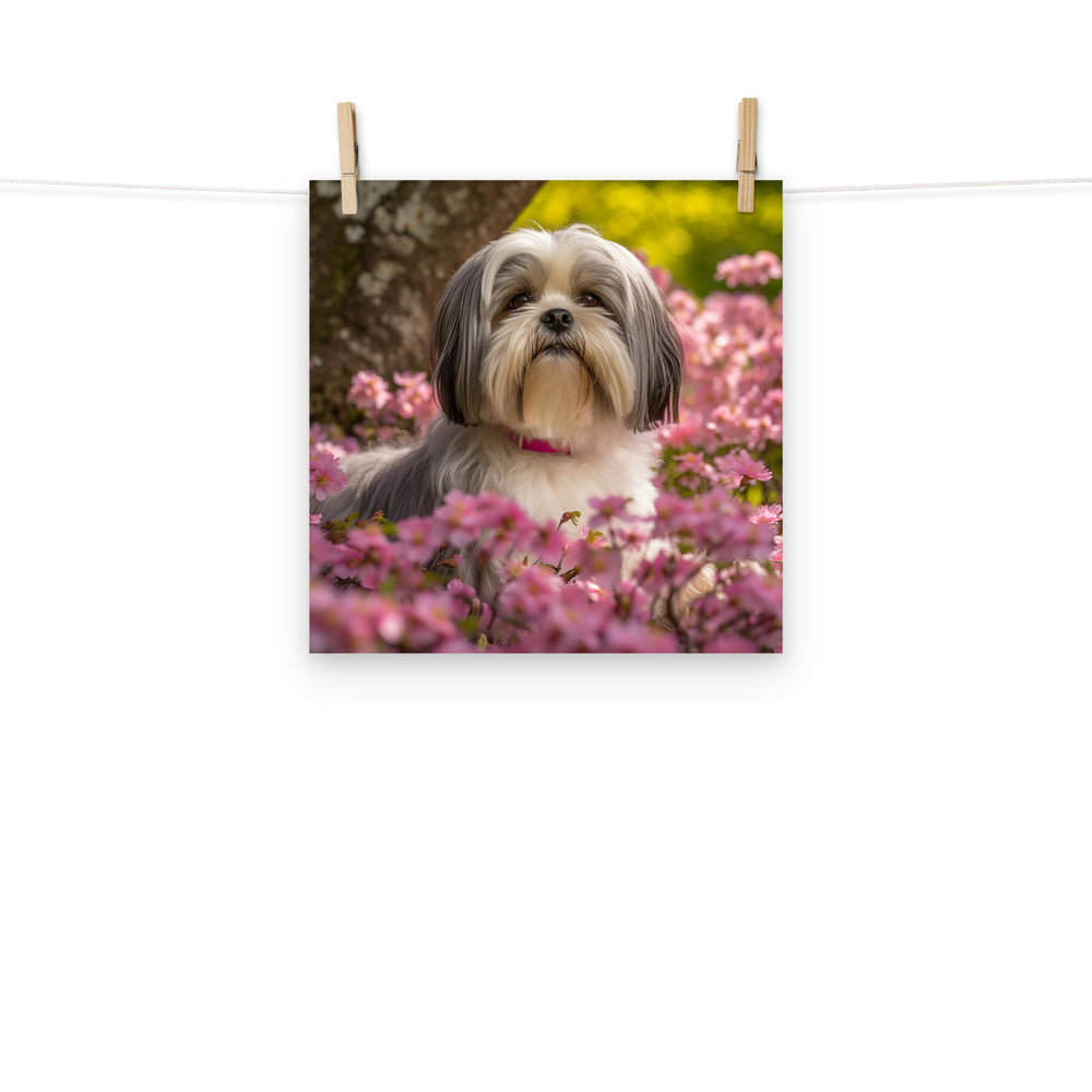 Lhasa Apso Photo paper poster - PosterfyAI.com