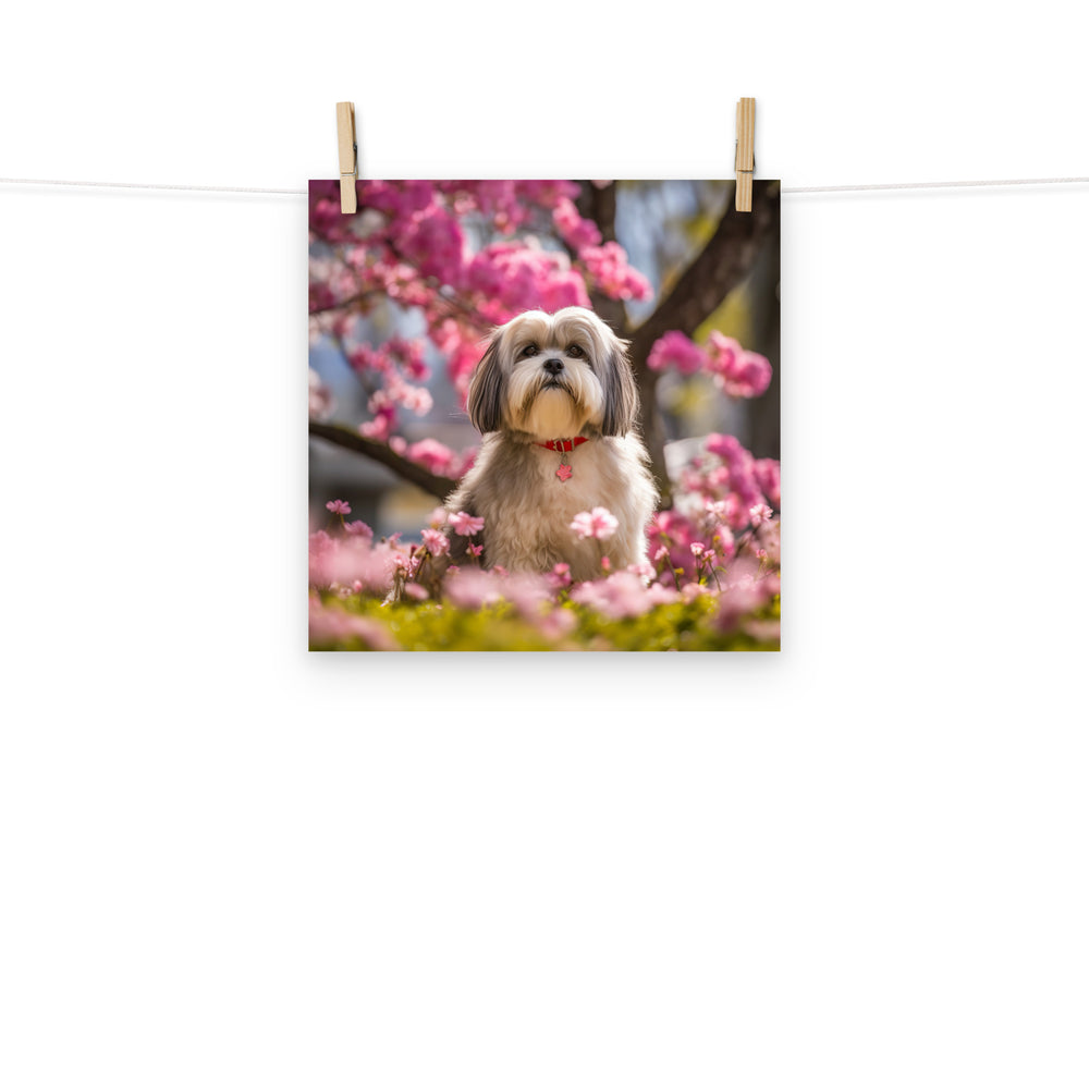 Lhasa Apso Photo paper poster - PosterfyAI.com