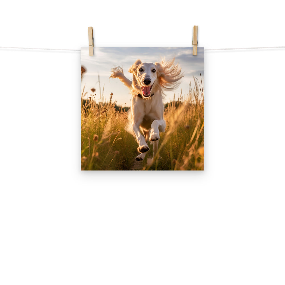 Saluki Photo paper poster - PosterfyAI.com