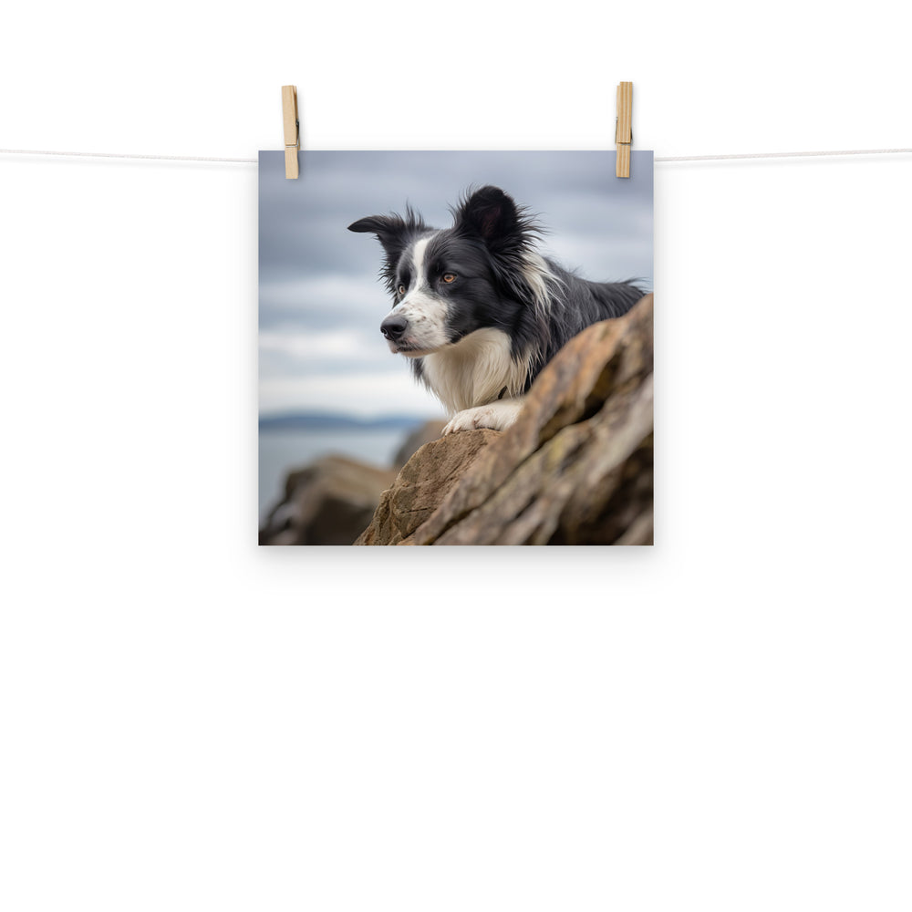 Border Collie Photo paper poster - PosterfyAI.com