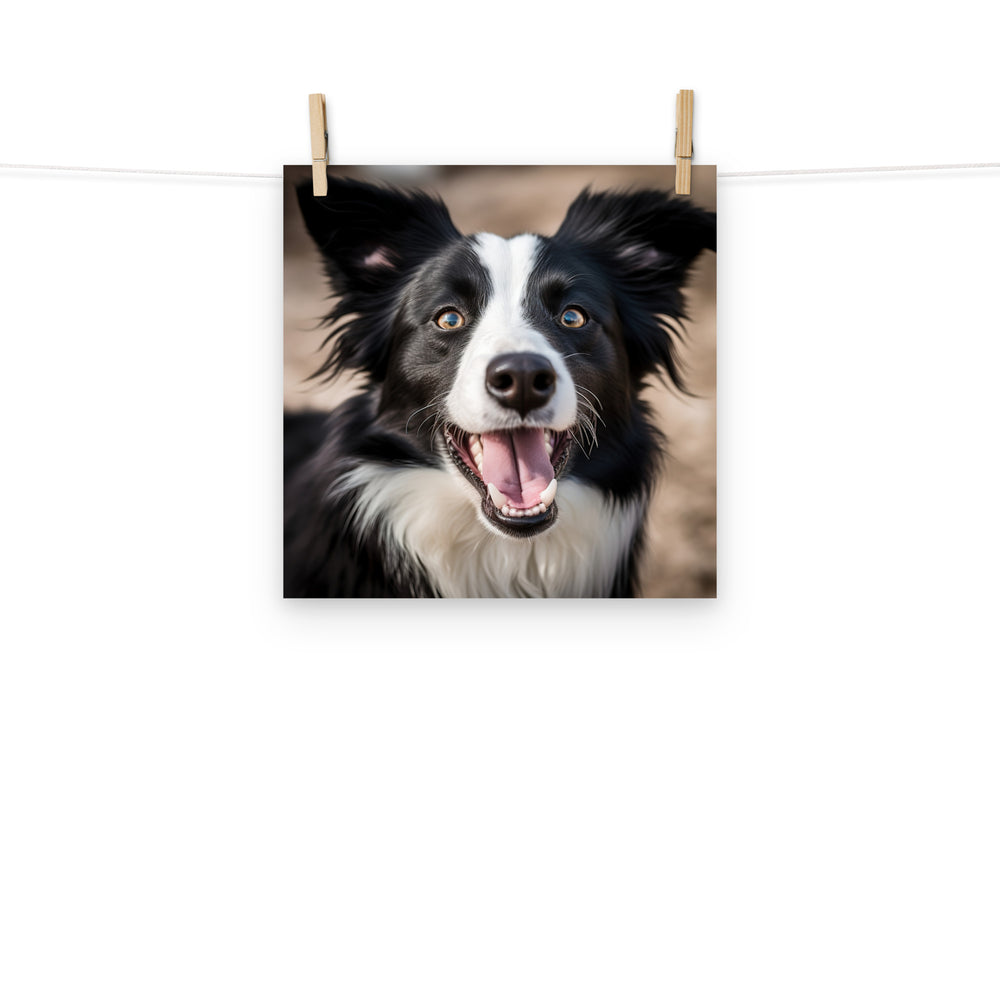 Border Collie Photo paper poster - PosterfyAI.com