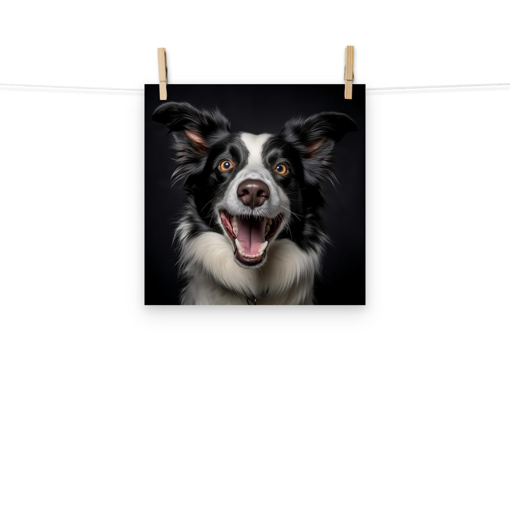Border Collie Photo paper poster - PosterfyAI.com