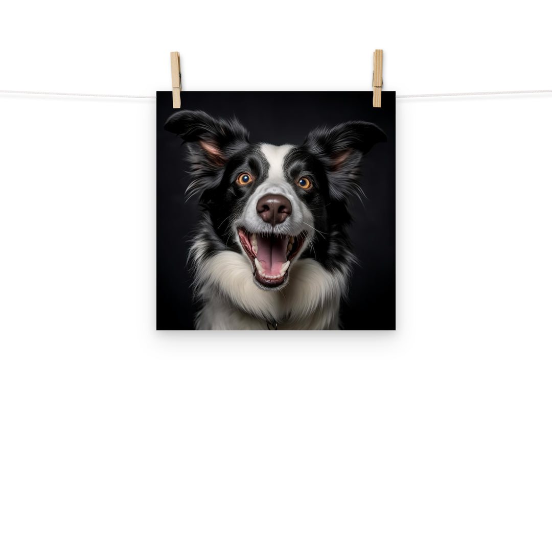 Border Collie Photo paper poster - PosterfyAI.com