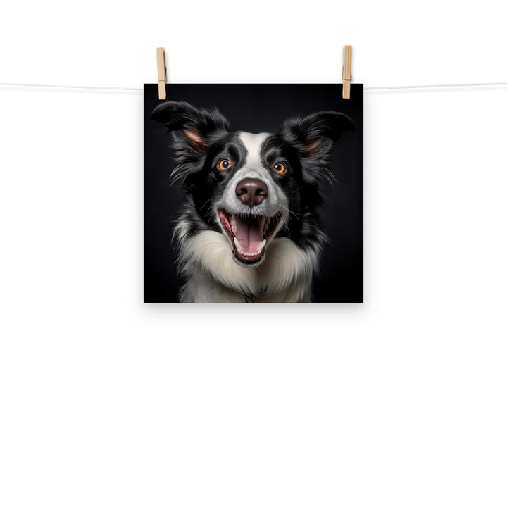 Border Collie Photo paper poster - PosterfyAI.com