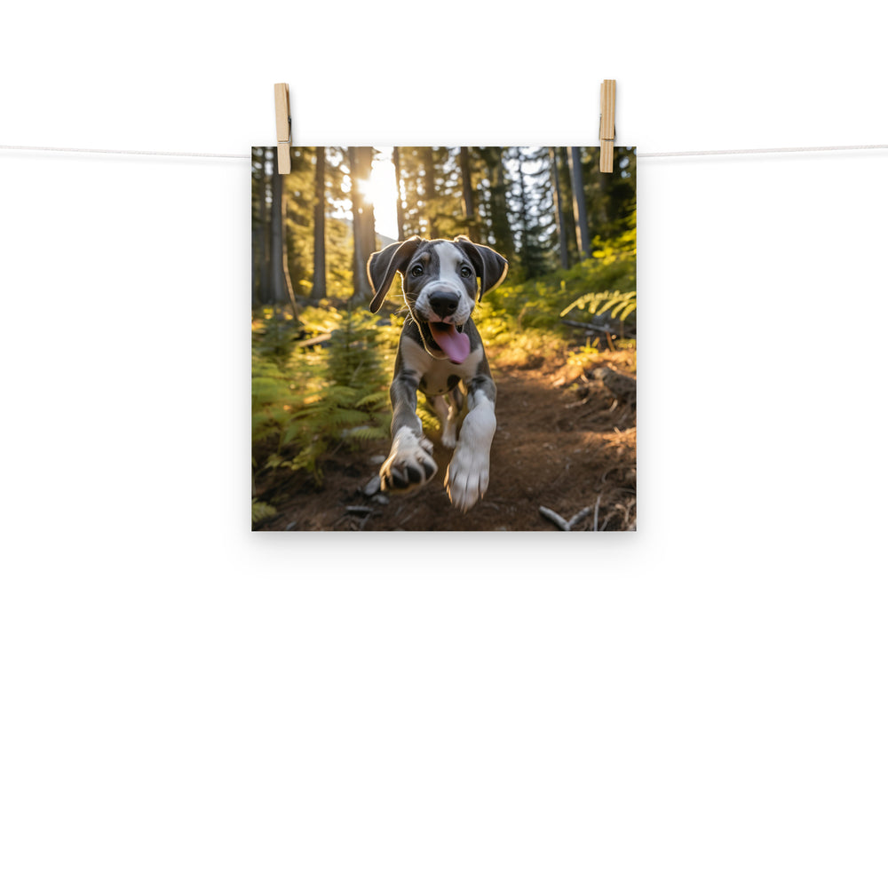 Great Dane Photo paper poster - PosterfyAI.com