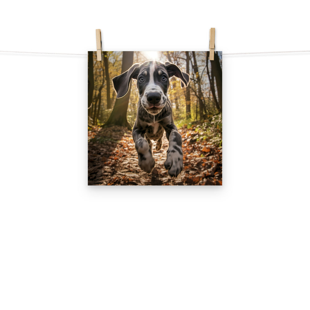 Great Dane Photo paper poster - PosterfyAI.com