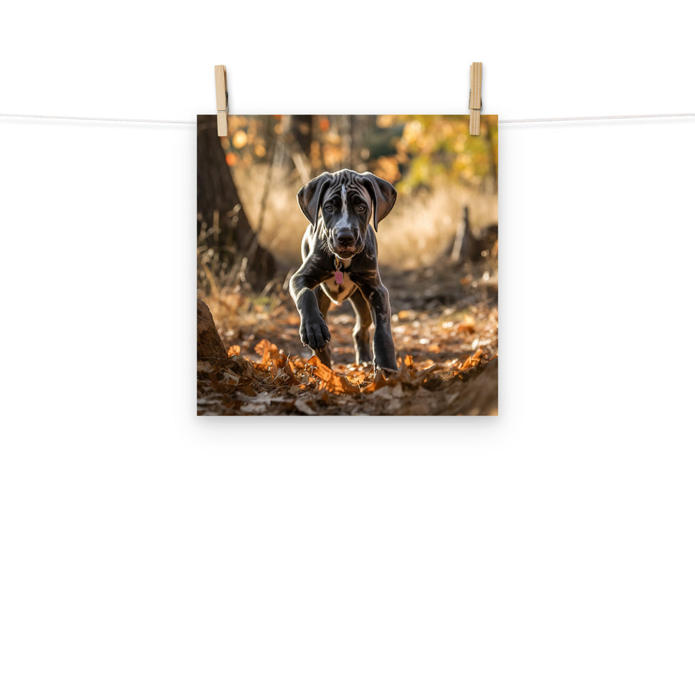 Great Dane Photo paper poster - PosterfyAI.com