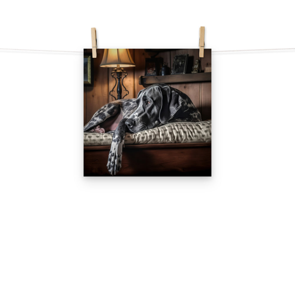 Great Dane Photo paper poster - PosterfyAI.com