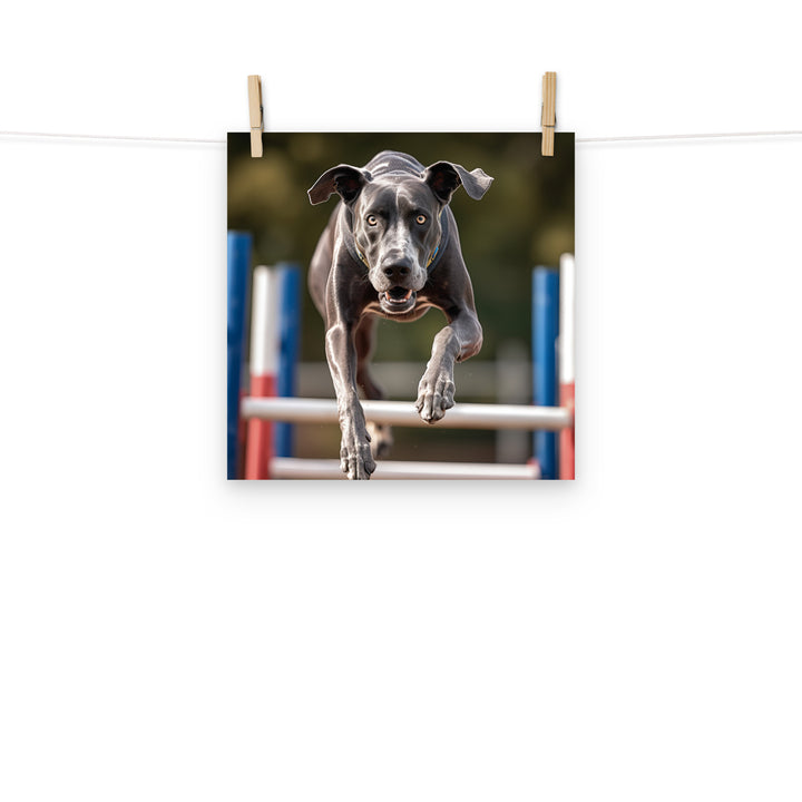 Great Dane Photo paper poster - PosterfyAI.com