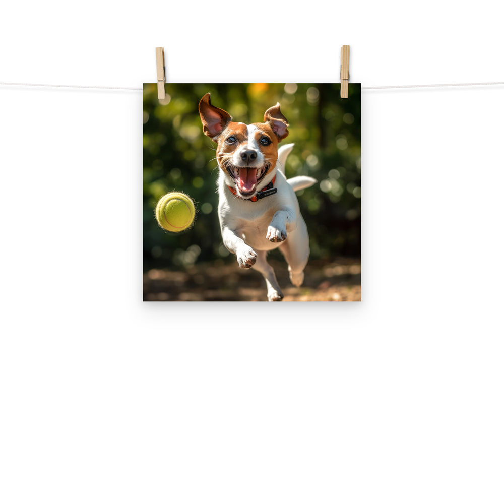 Jack Russell Terrier Photo paper poster - PosterfyAI.com