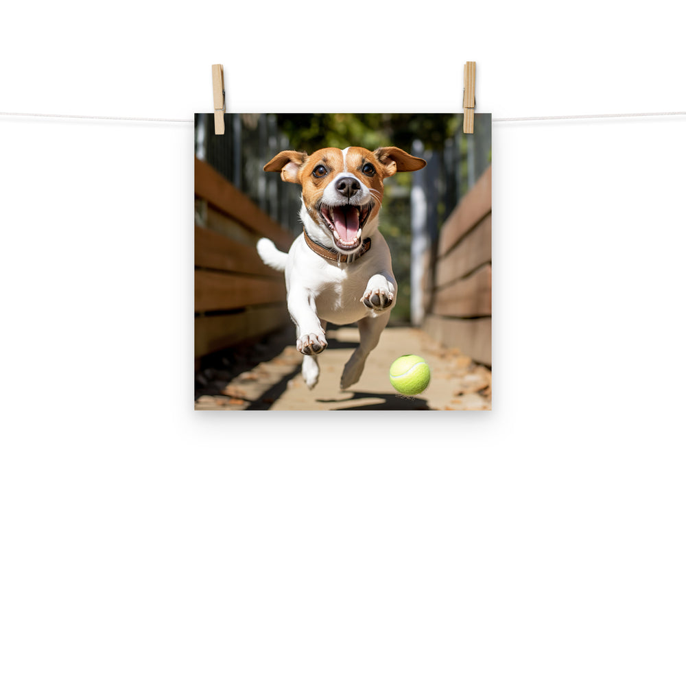 Jack Russell Terrier Photo paper poster - PosterfyAI.com