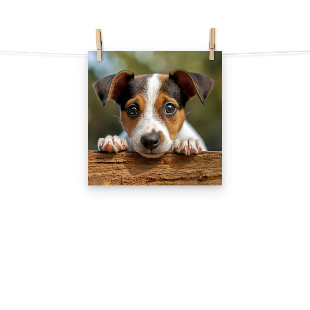 Jack Russell Terrier Photo paper poster - PosterfyAI.com