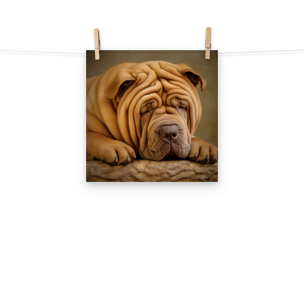 Shar Pei Photo paper poster - PosterfyAI.com