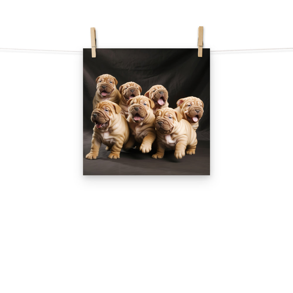 Shar Pei Photo paper poster - PosterfyAI.com