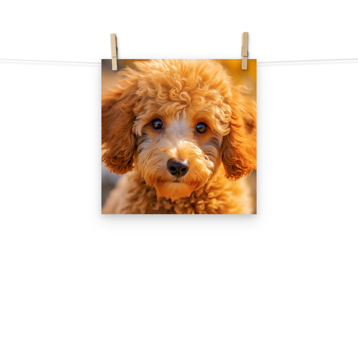 Poodle Photo paper poster - PosterfyAI.com