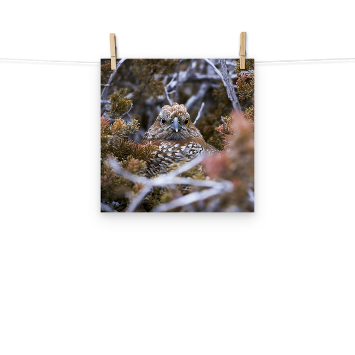 Grouse Photo paper poster - PosterfyAI.com