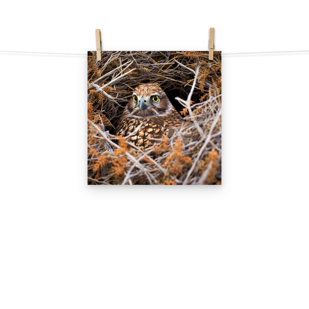 Grouse Photo paper poster - PosterfyAI.com