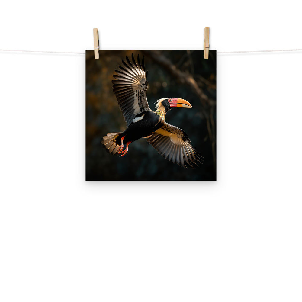 Hornbill Photo paper poster - PosterfyAI.com