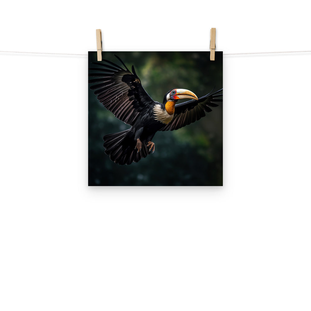 Hornbill Photo paper poster - PosterfyAI.com