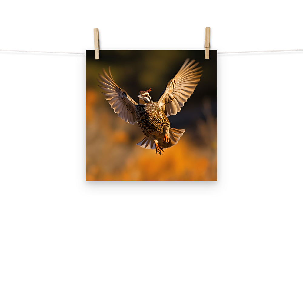 Quail Photo paper poster - PosterfyAI.com