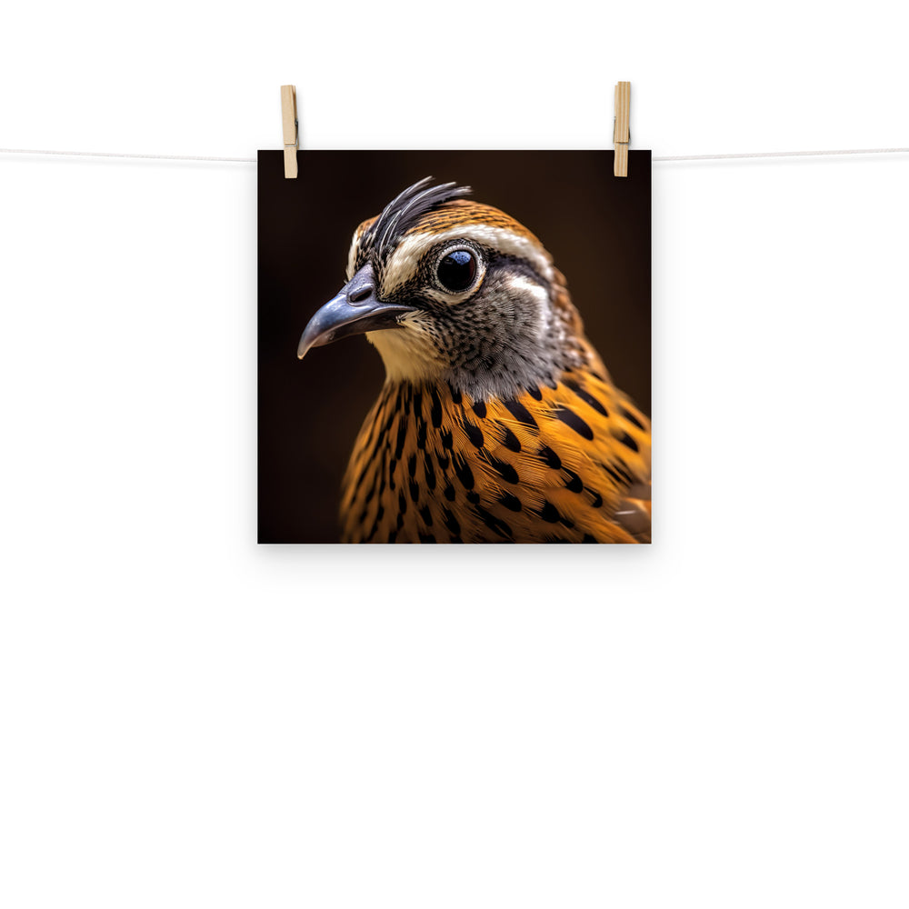 Quail Photo paper poster - PosterfyAI.com