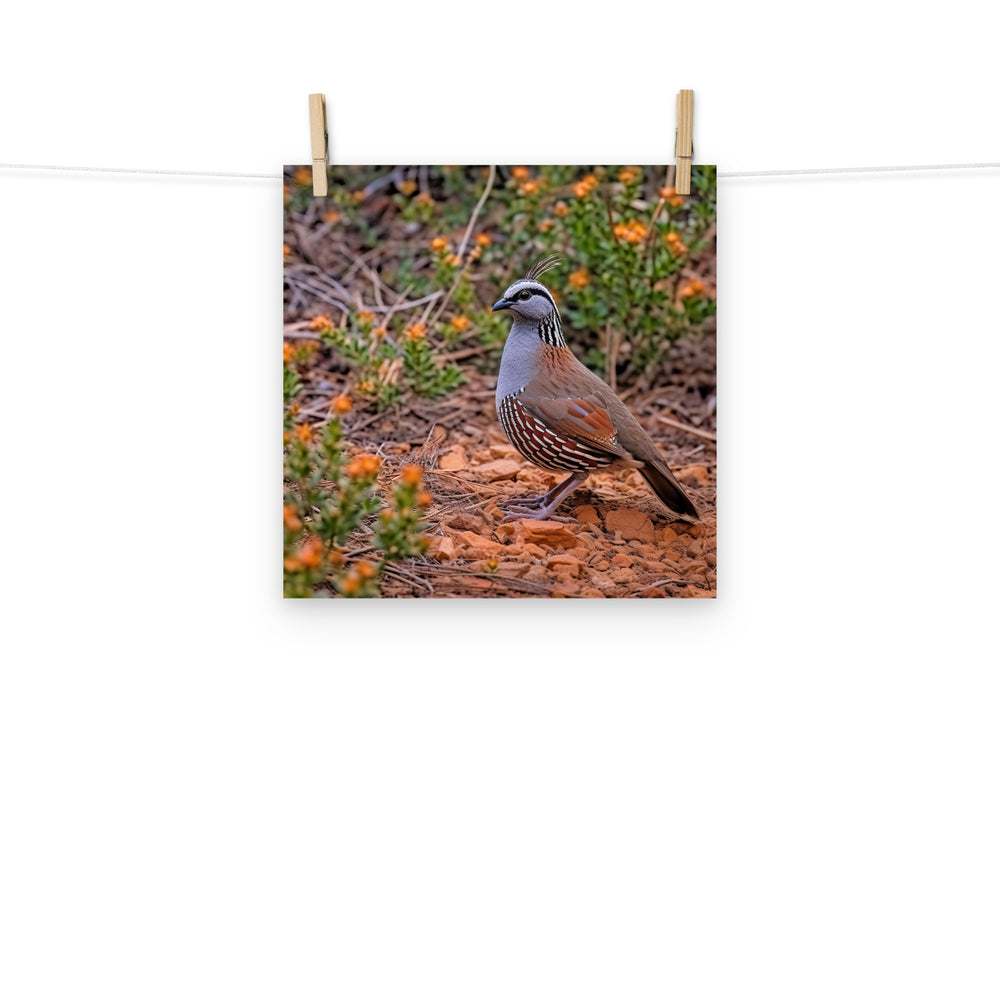 Quail Photo paper poster - PosterfyAI.com