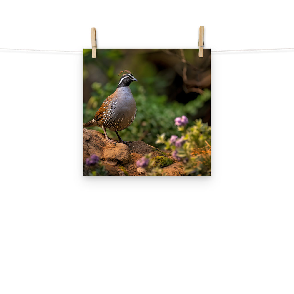 Quail Photo paper poster - PosterfyAI.com