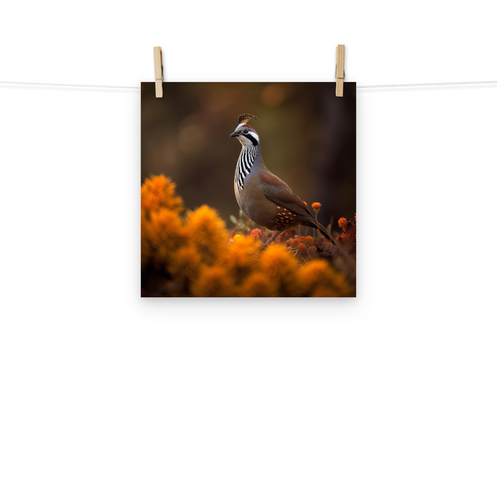Quail Photo paper poster - PosterfyAI.com