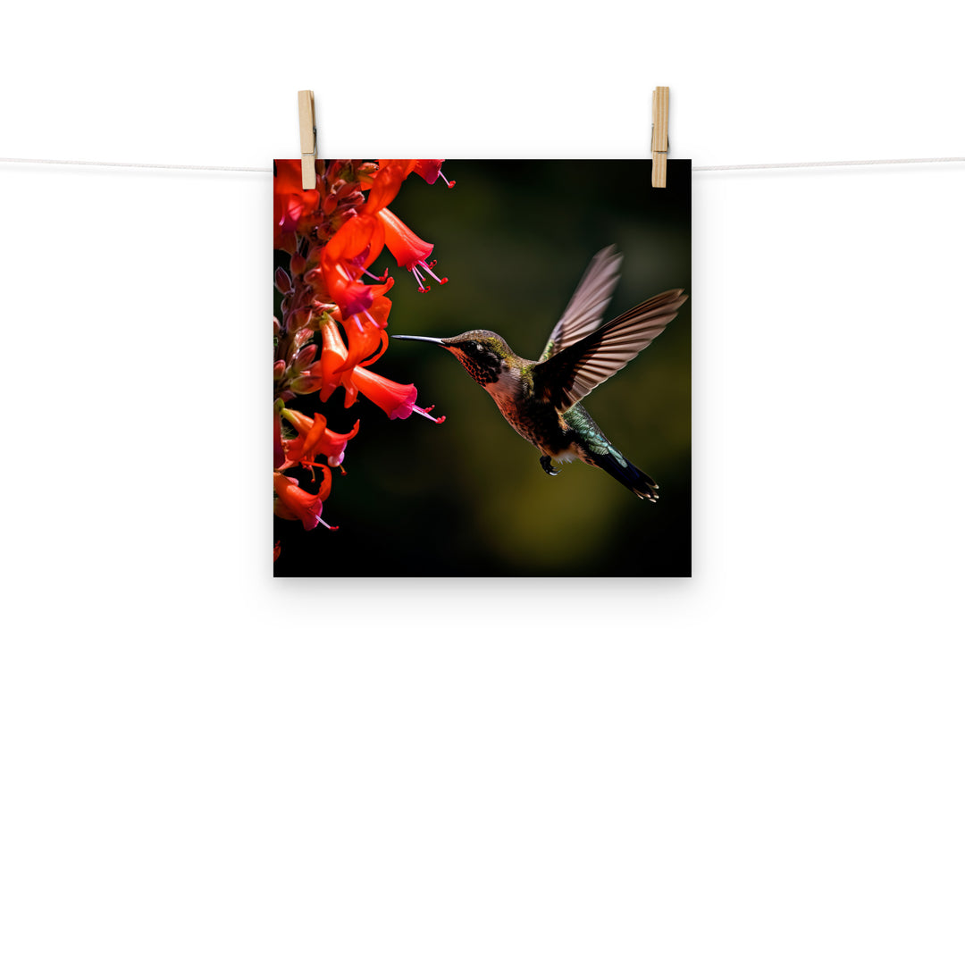 Hummingbird Photo paper poster - PosterfyAI.com