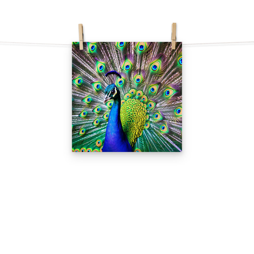 Peacock Photo paper poster - PosterfyAI.com