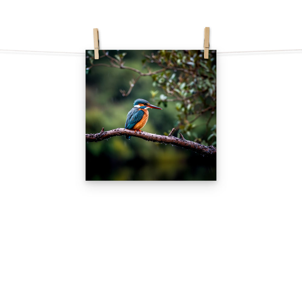 Kingfisher Photo paper poster - PosterfyAI.com