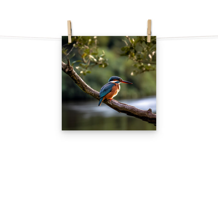 Kingfisher Photo paper poster - PosterfyAI.com