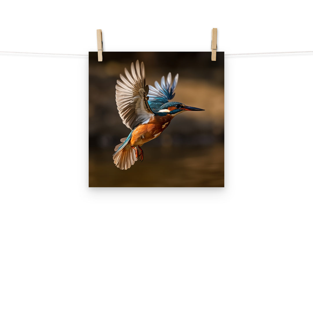 Kingfisher Photo paper poster - PosterfyAI.com