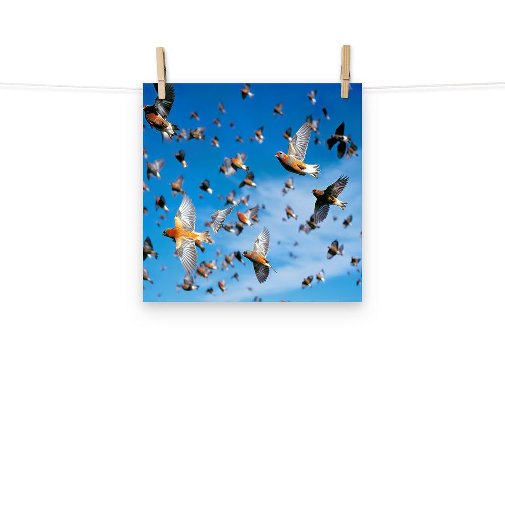 Finch Photo paper poster - PosterfyAI.com