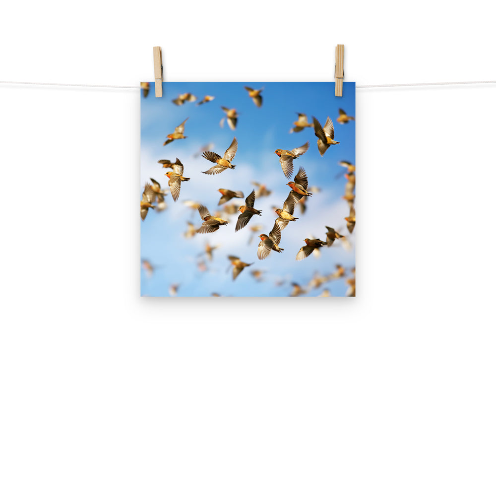 Finch Photo paper poster - PosterfyAI.com