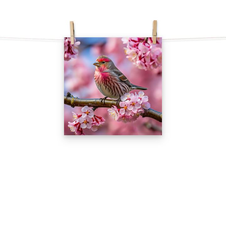 Finch Photo paper poster - PosterfyAI.com