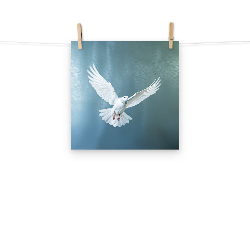 Dove Photo paper poster - PosterfyAI.com