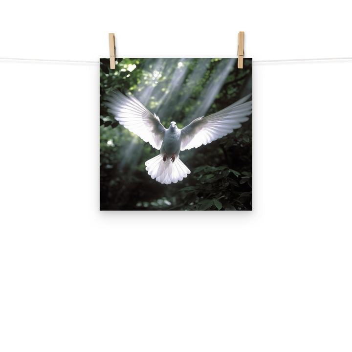 Dove Photo paper poster - PosterfyAI.com