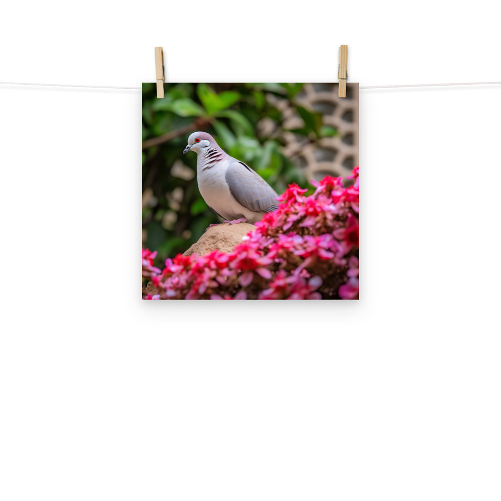 Dove Photo paper poster - PosterfyAI.com