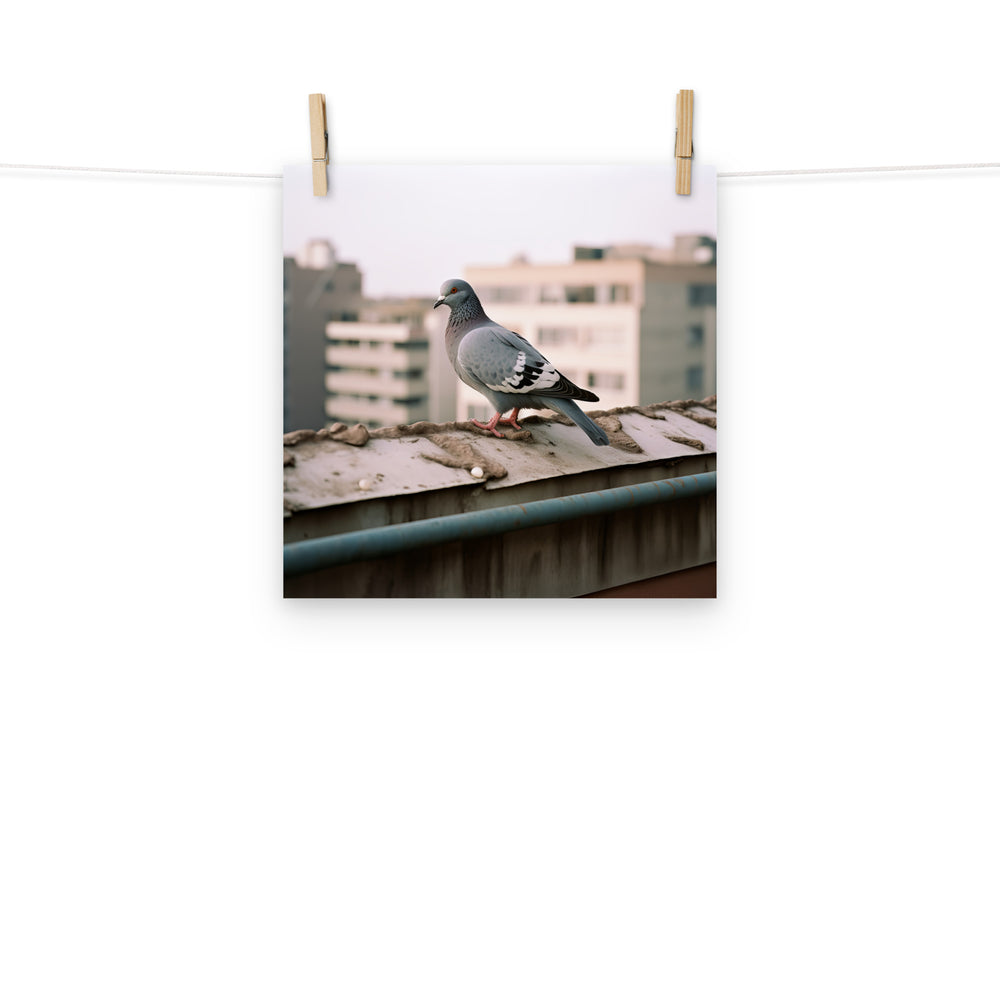 Pigeon Photo paper poster - PosterfyAI.com