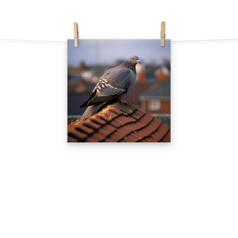 Pigeon Photo paper poster - PosterfyAI.com