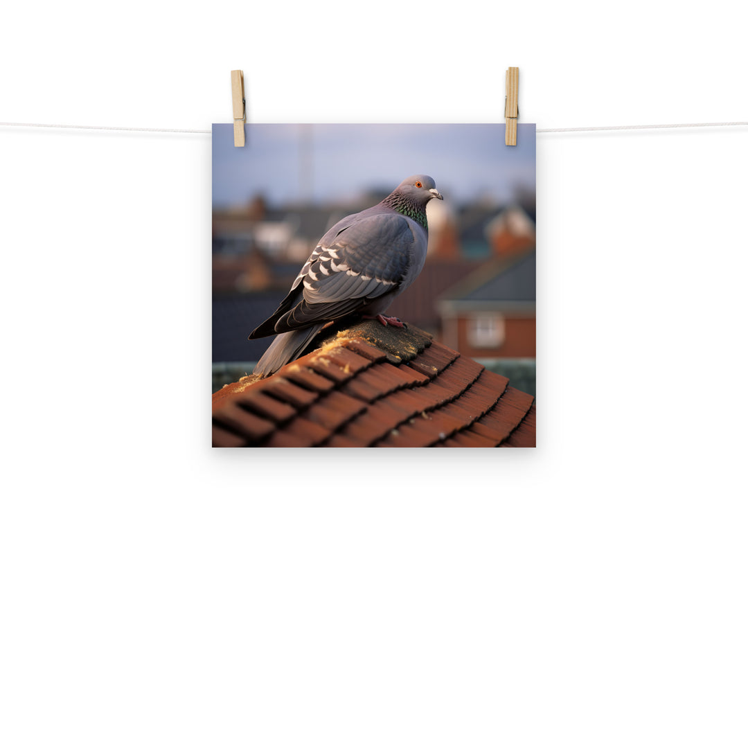 Pigeon Photo paper poster - PosterfyAI.com