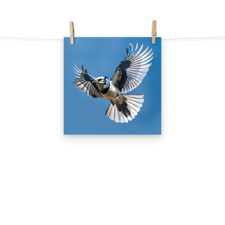 Jay Photo paper poster - PosterfyAI.com