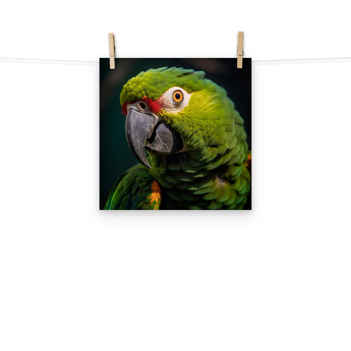Parrot Photo paper poster - PosterfyAI.com