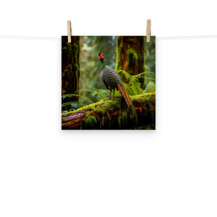 Pheasant Photo paper poster - PosterfyAI.com