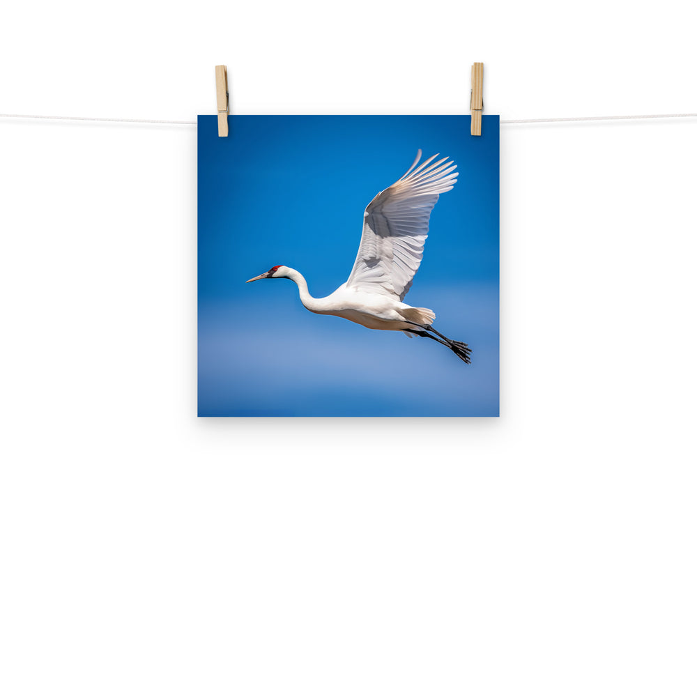 Crane Photo paper poster - PosterfyAI.com